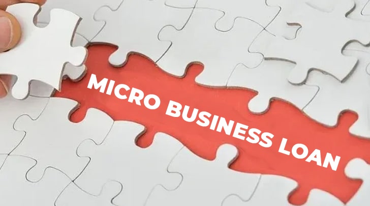 Mahaveer Program - Business Loans